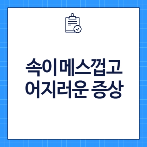 속이메스껍고 어지러운 증상