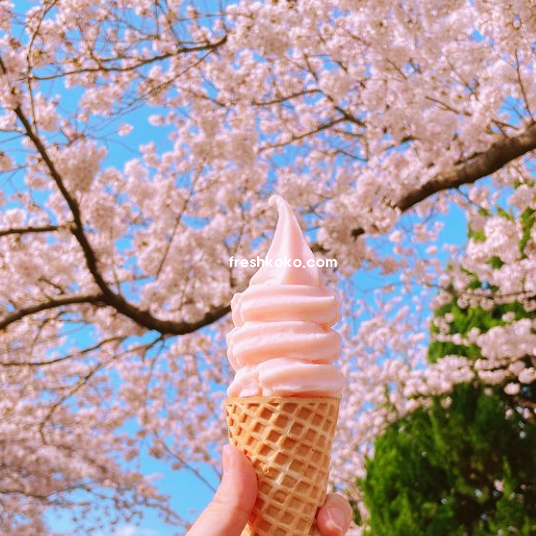 4월 여행지 추천