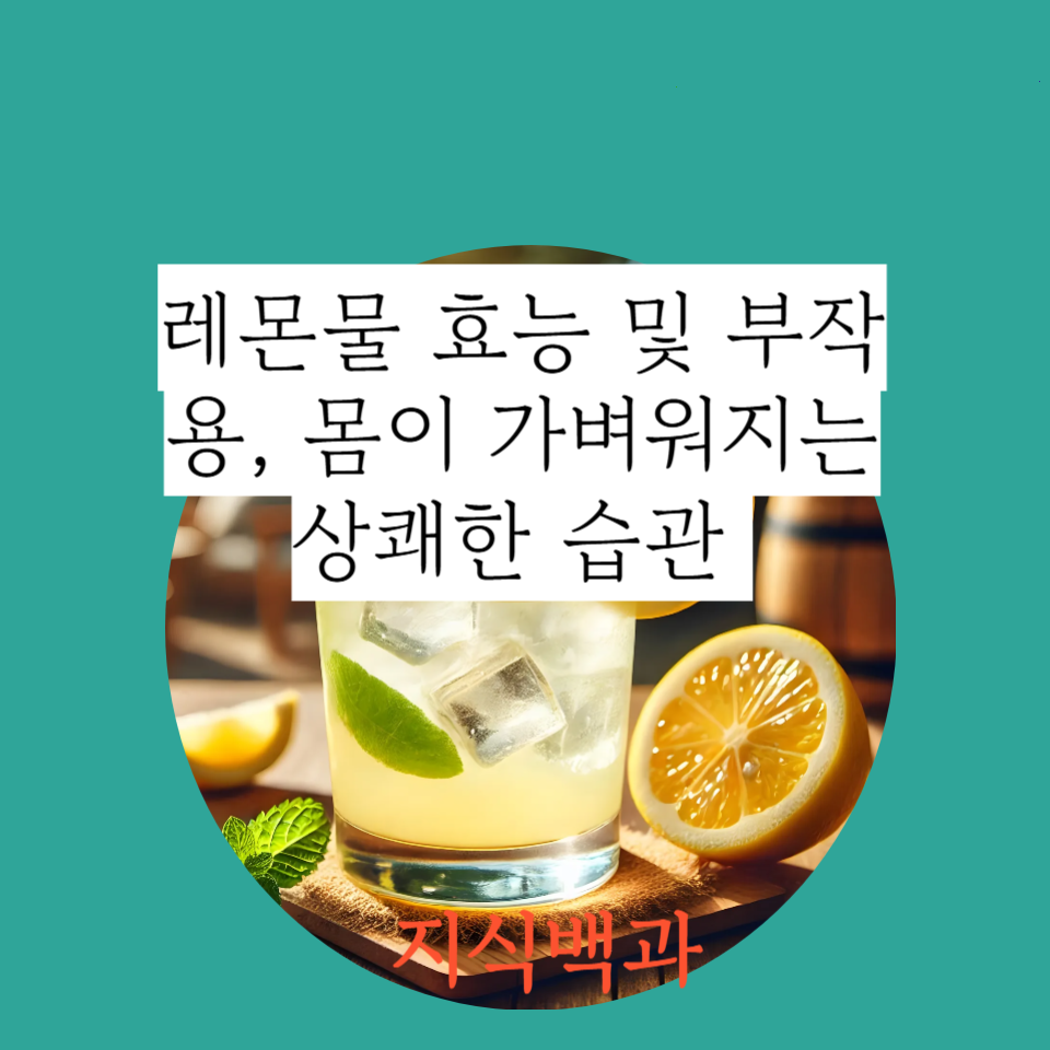 레몬물 효능 및 부작용, 몸이 가벼워지는 상쾌한 습관 🍋