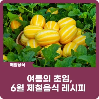 여름 준비는 건강한 식탁에서 6월 제철 음식 리스트 완벽 총정리_15
