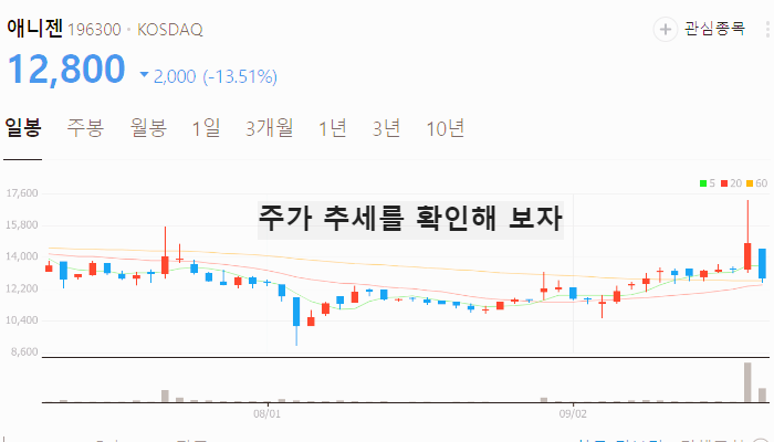 오젬픽 관련주 대장주 테마주 TOP7 : 노보노디스크