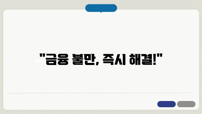 금융 감독원 민원 유형