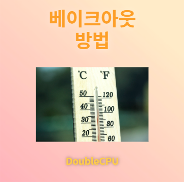 베이크 아웃 방법