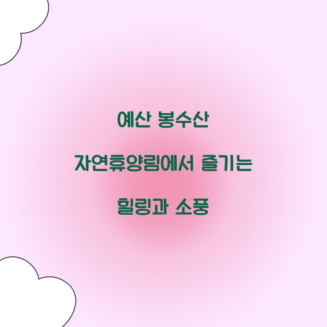 예산 봉수산 자연휴양림