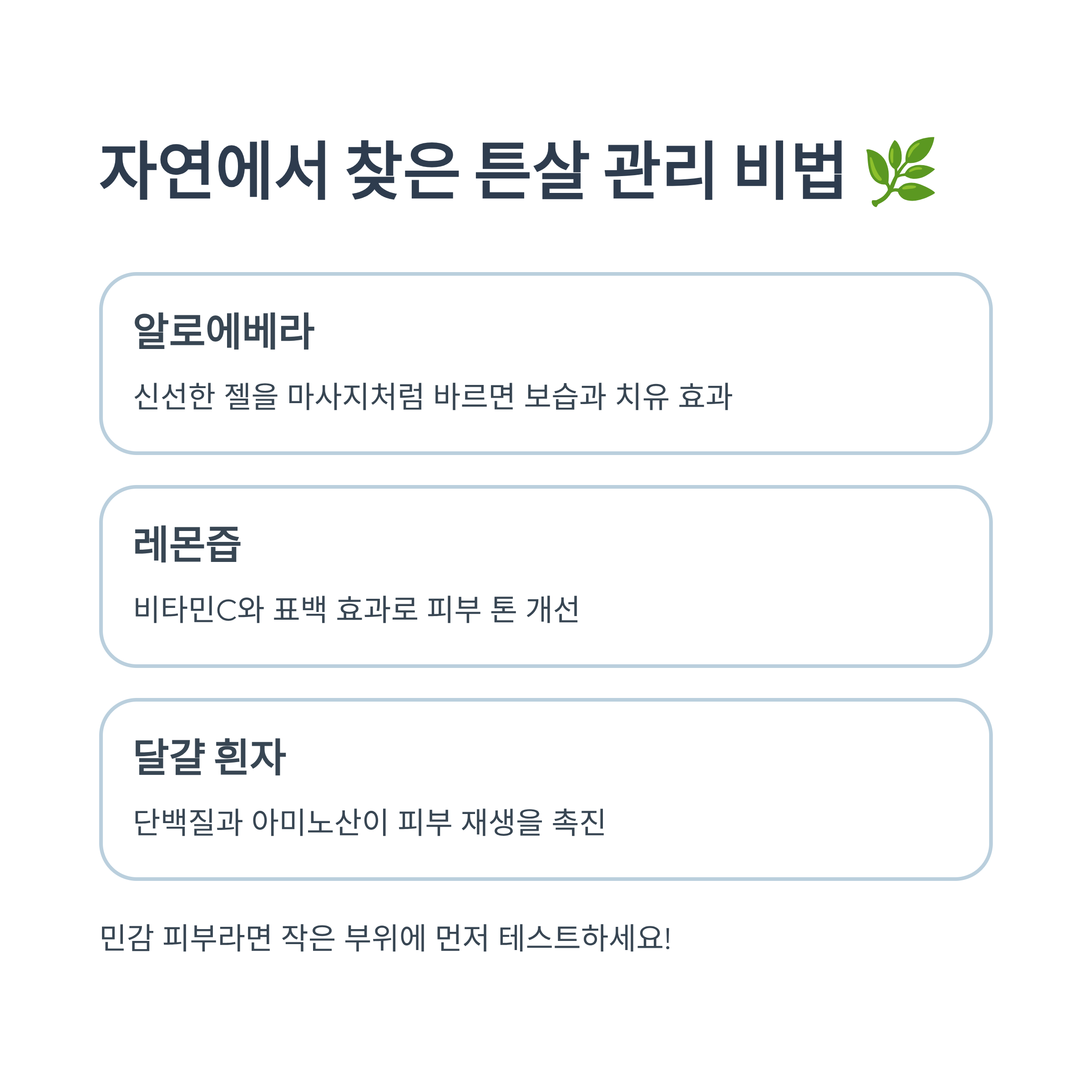 알로에베라, 레몬즙, 달걀 흰자 등 자연에서 찾은 튼살 관리 방법을 설명한 인포그래픽