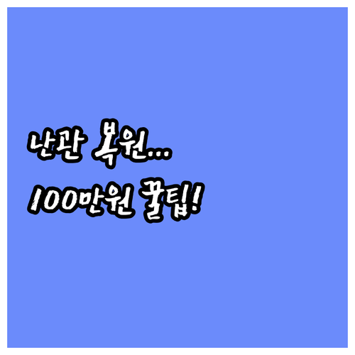 2025년 난관 복원 100만원 함평..