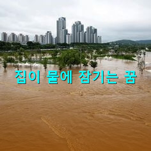 저-멀리-아파트가-보이고-나무-꼭대기만-보이도록-물이-범람하는-모습