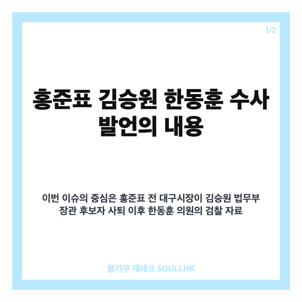 홍준표 김승원 한동훈 수사 발언, 검찰 자료 유출 의혹 쟁점은 카드뉴스 1