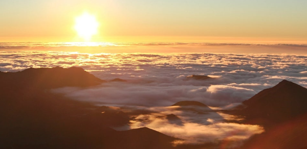 하와이 신혼여행