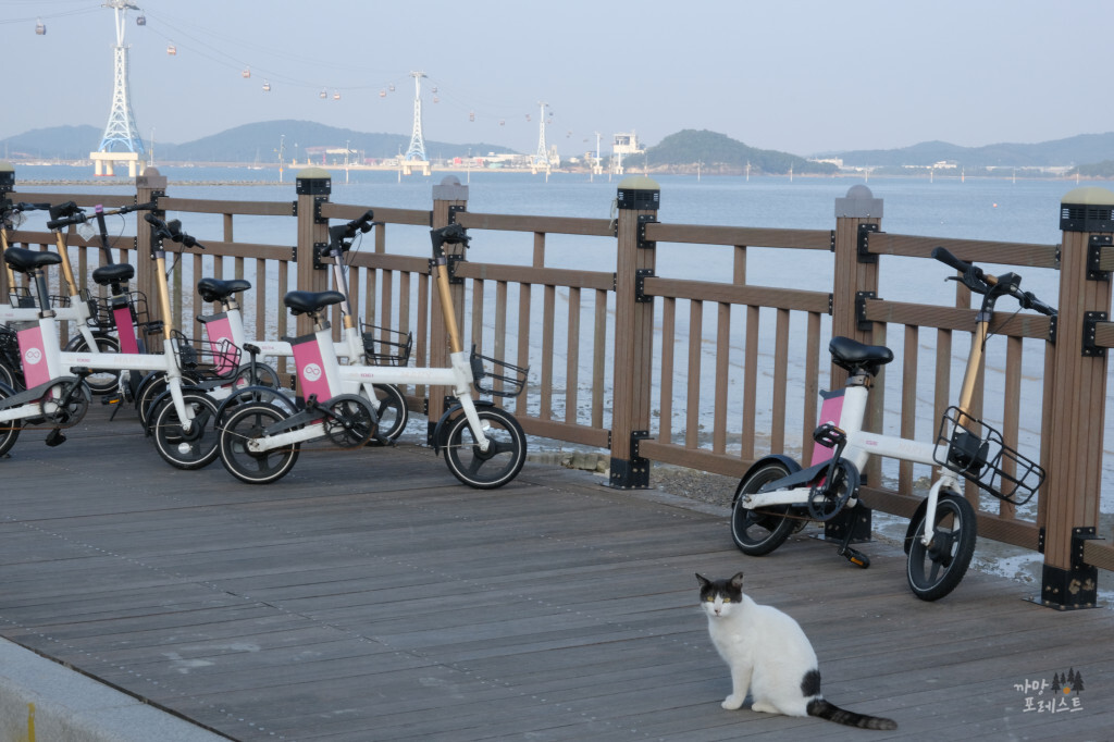 제부도 글램핑 글램비