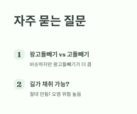 왕고들빼기 자주 묻는 질문 (Q&amp;A) 1