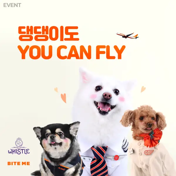 반려동물 탑승 서비스 안내