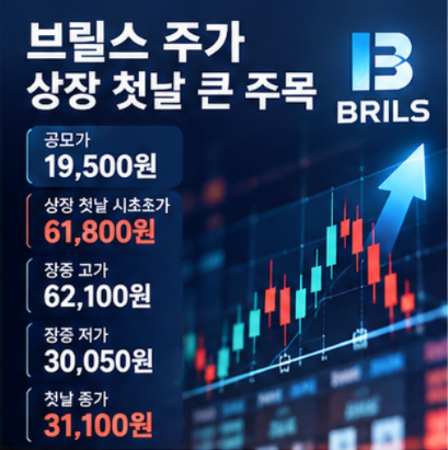  브릴스 홈페이지 공모주 주가 