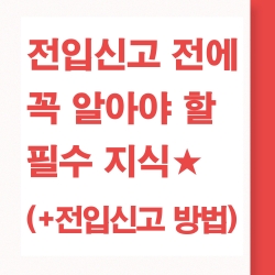 전입신고