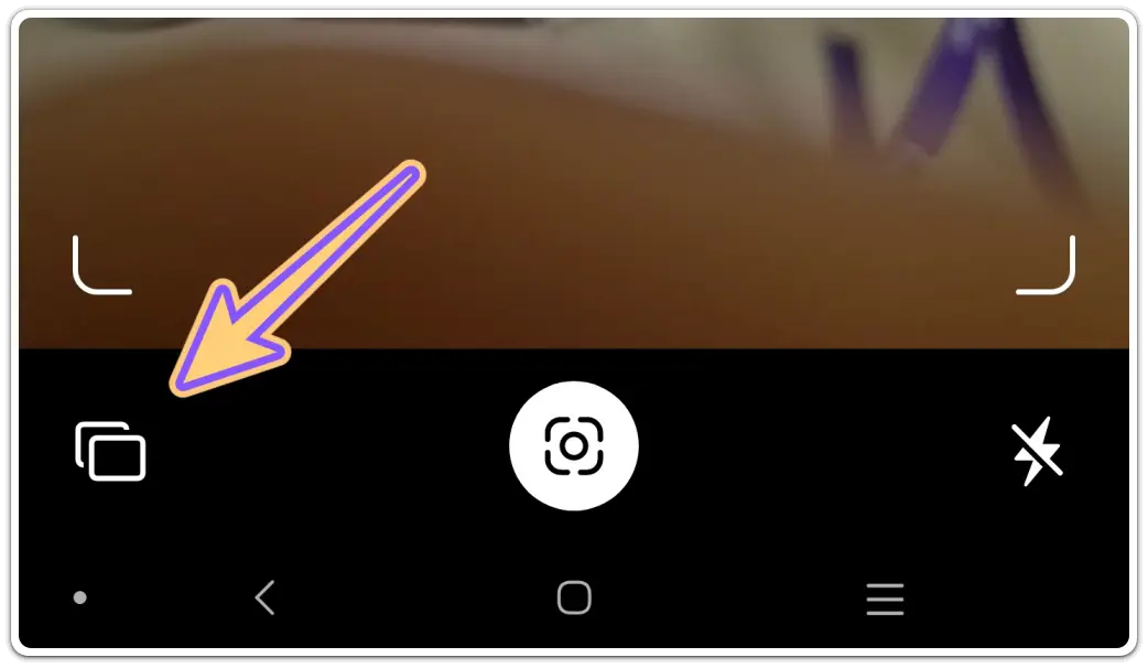 꽃-검색-꽃-사진-이름-검색-방법