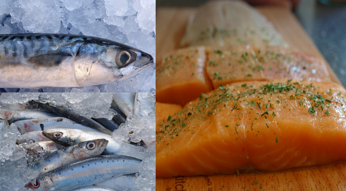 유방암 예방과 회복에 도움 되는 음식