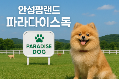 안성팜랜드 파라다이스독