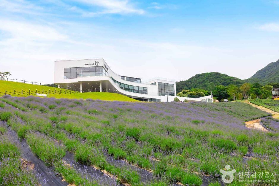 정읍 가볼만한곳 베스트 10