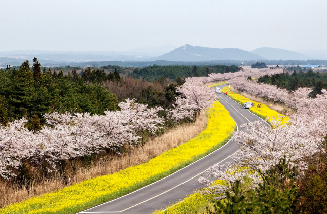 제주-녹산로