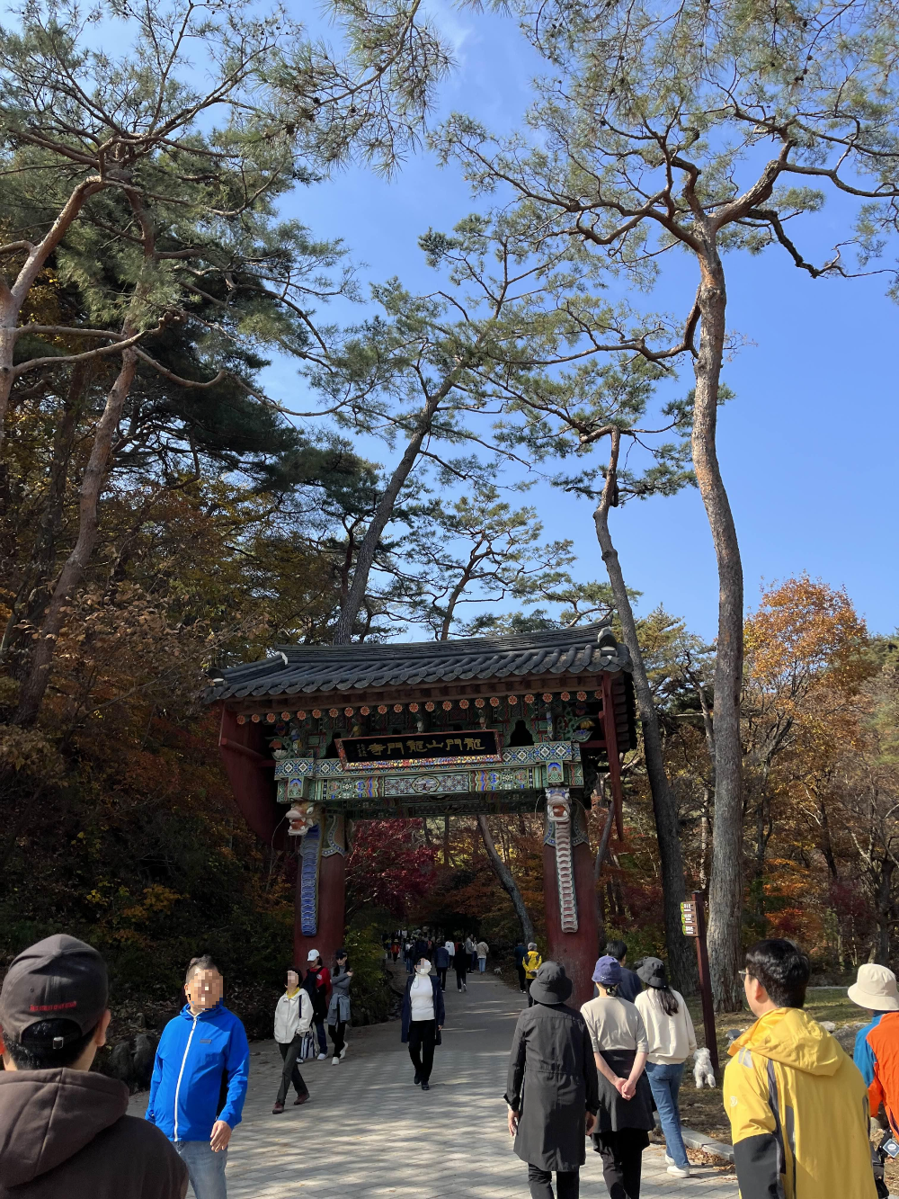 단풍명소 용문사