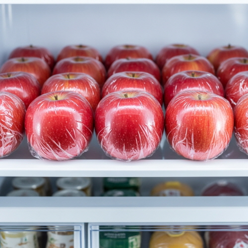 아리수 사과 수확시기