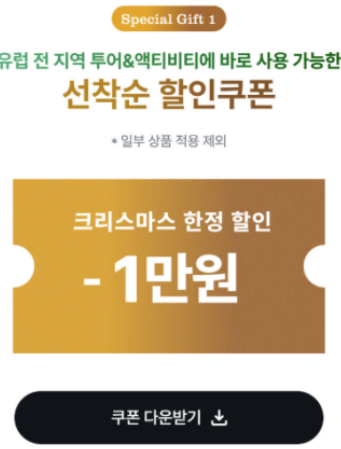 #비엔나크리스마스 #유럽크리스마스