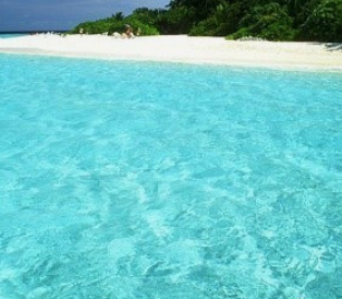 물을 보는 꿈해몽