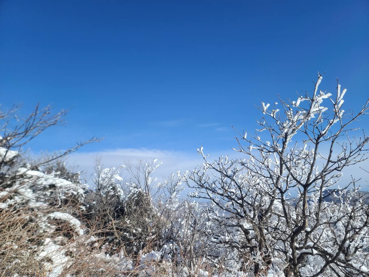 겨울 여행 눈꽃 산행지