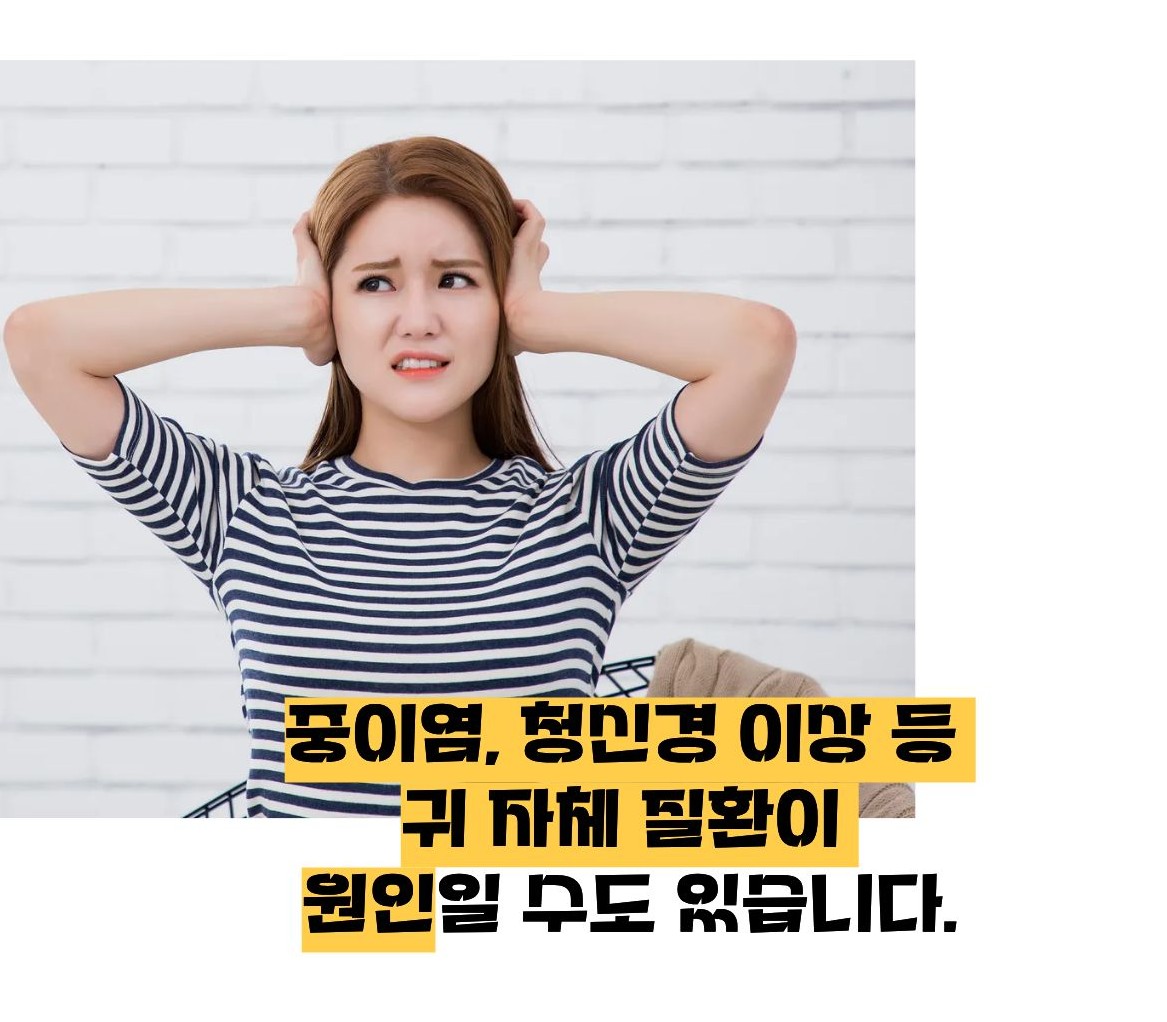 귀에서 심장박동소리