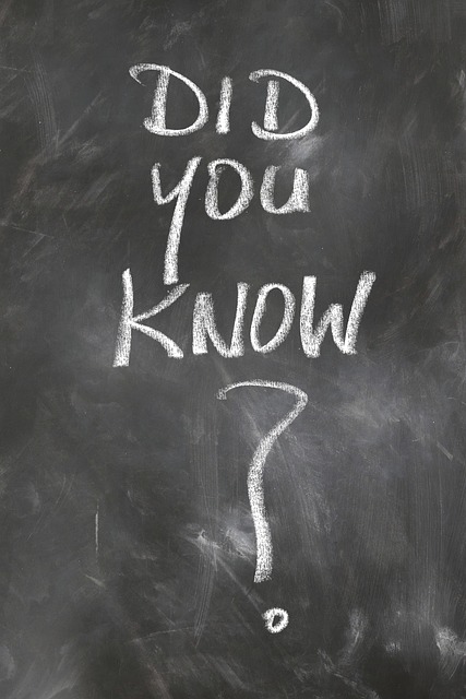 공공시설 운영과 시공 중심 커리어