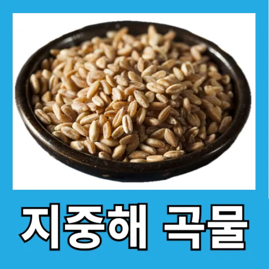 "직장인 영양 솔루션 파로"