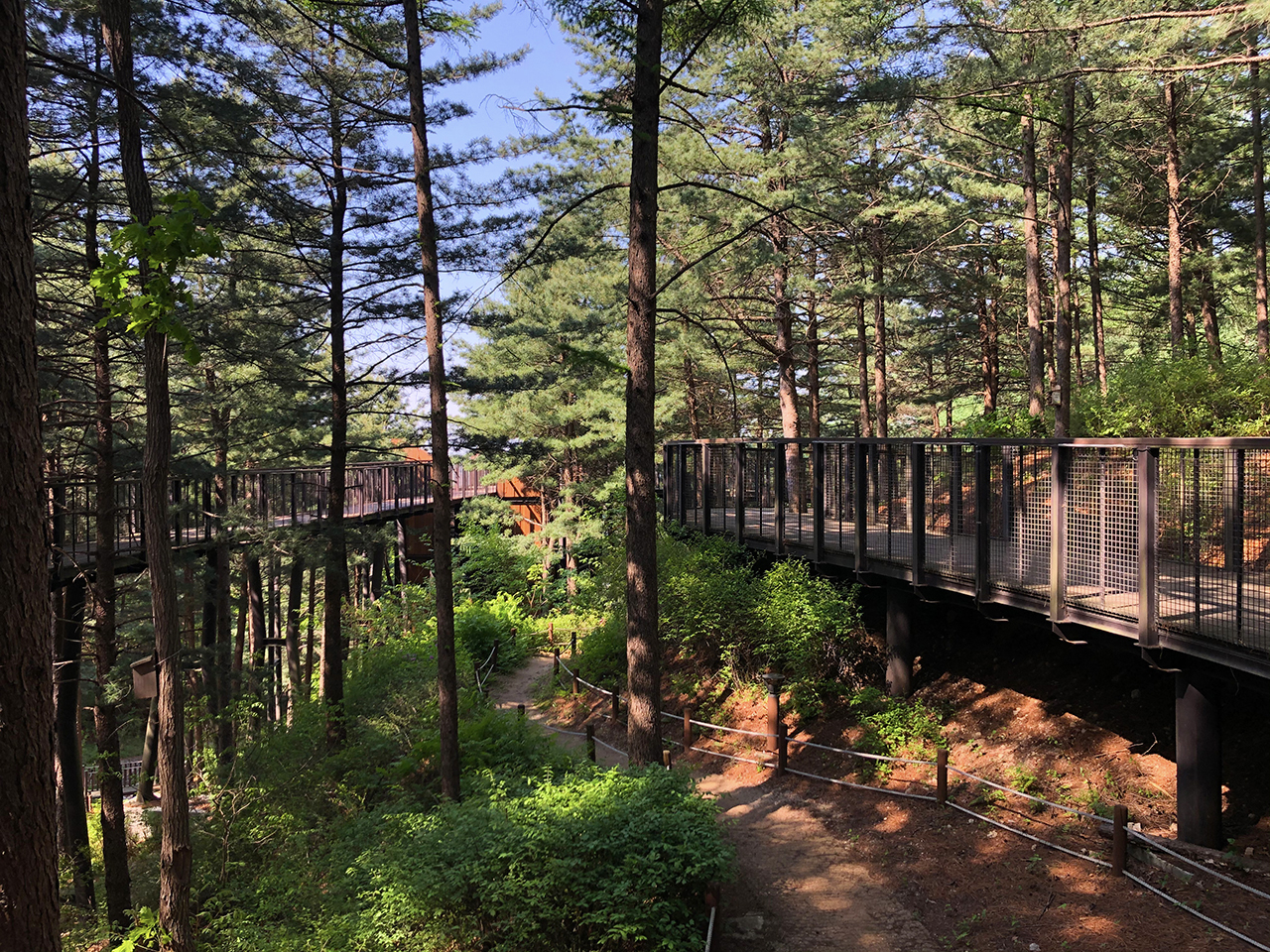 이국적인 산책로