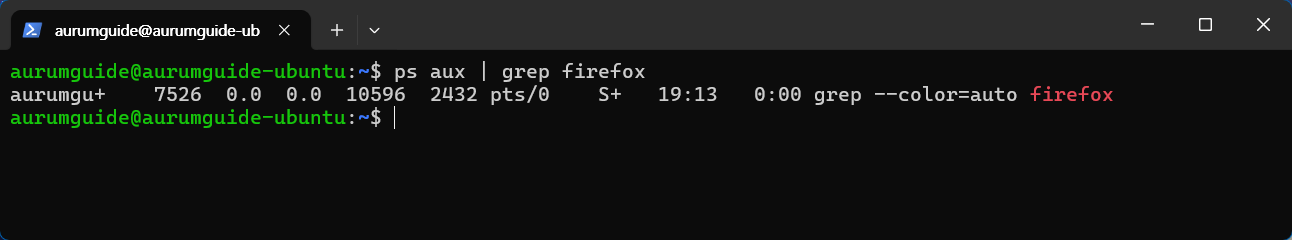 ps aux ❘ grep 명렁어.