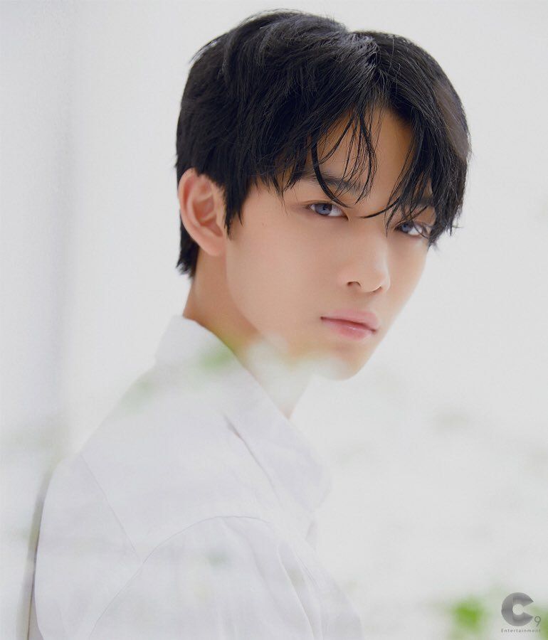 워너원 고화질 사진