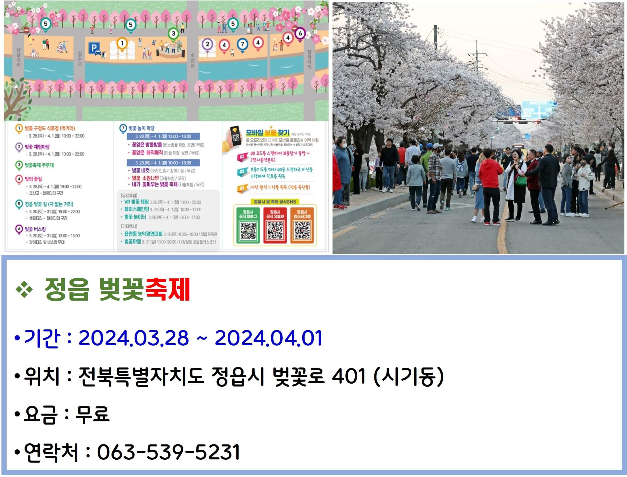 정읍벚꽃축제