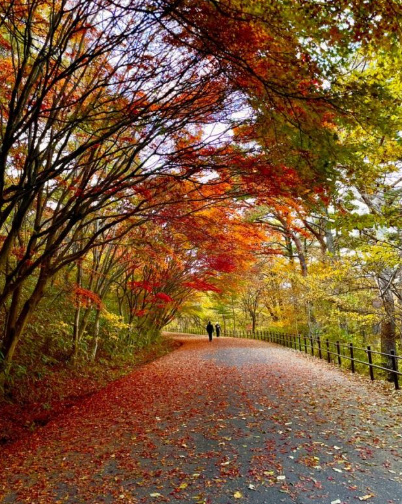 2025 무등산 단풍 절정시기 확인! 가을 BEST 등산코스 완전 정복