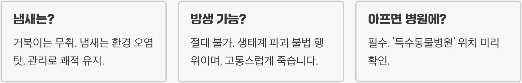 거북이분양, 입양 전 반드시 알아야 할 5가지