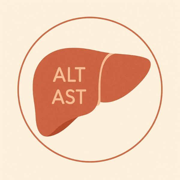 ALT와 AST수치 비교