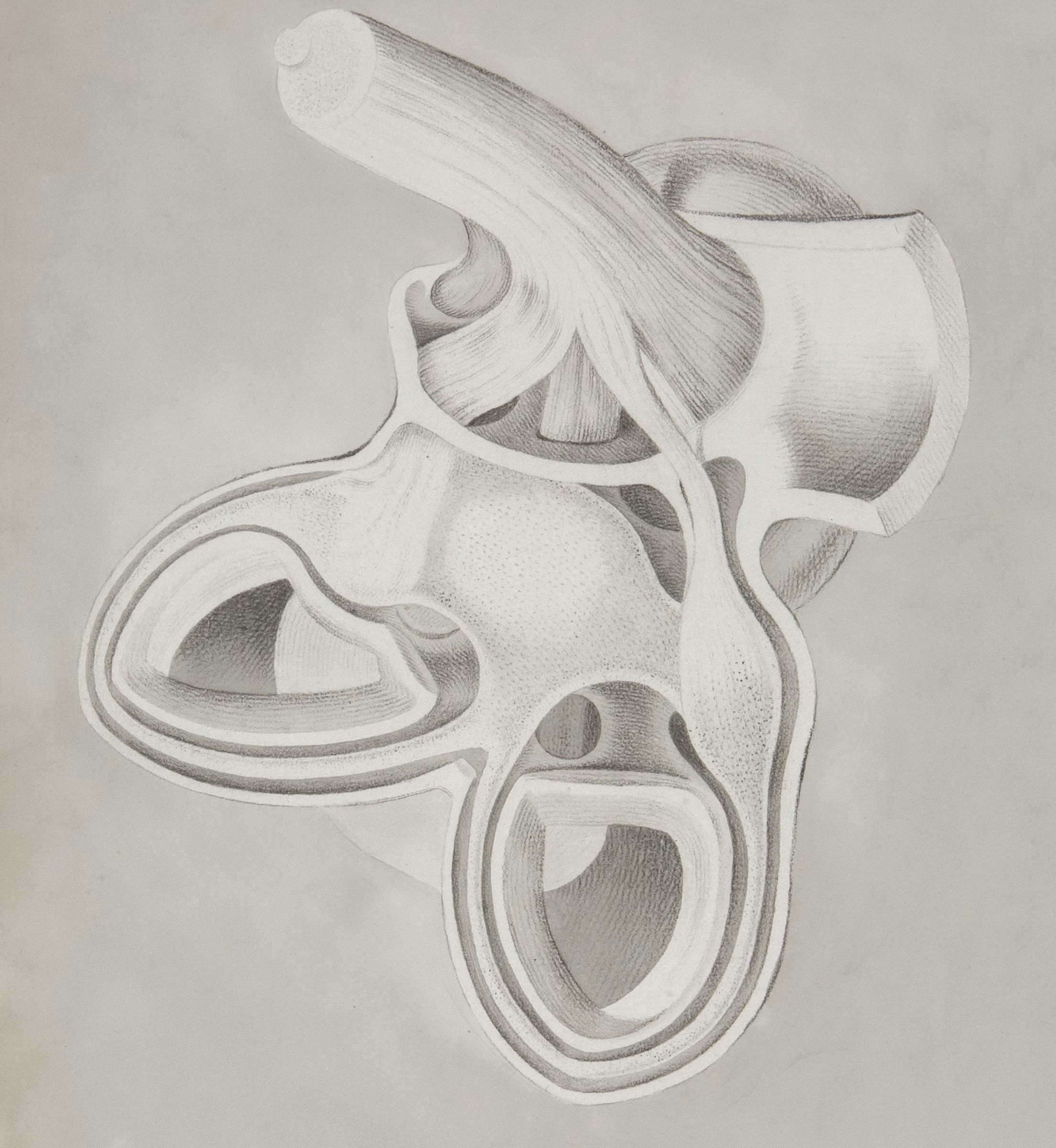 경동맥초음파- 비용과- 실비보험 -청구- 완벽 -가이드- 20251