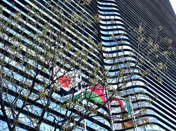 주대한민국일본국대사관-공보문화원