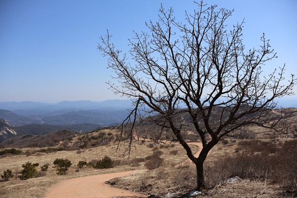 황매산_등산코스