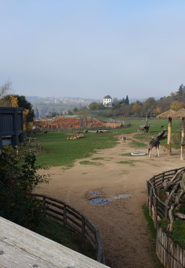프라하 동물원