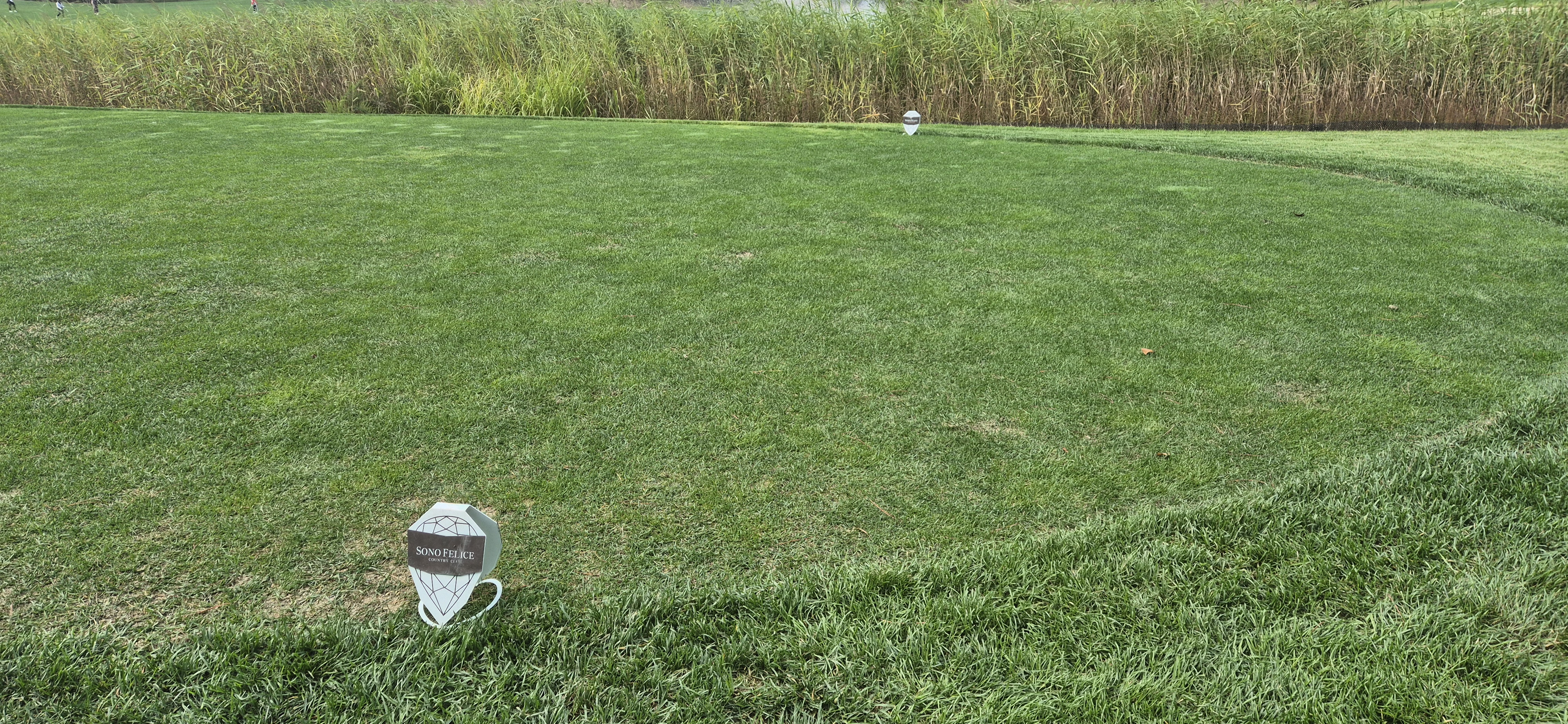 소노팰리체cc이스트