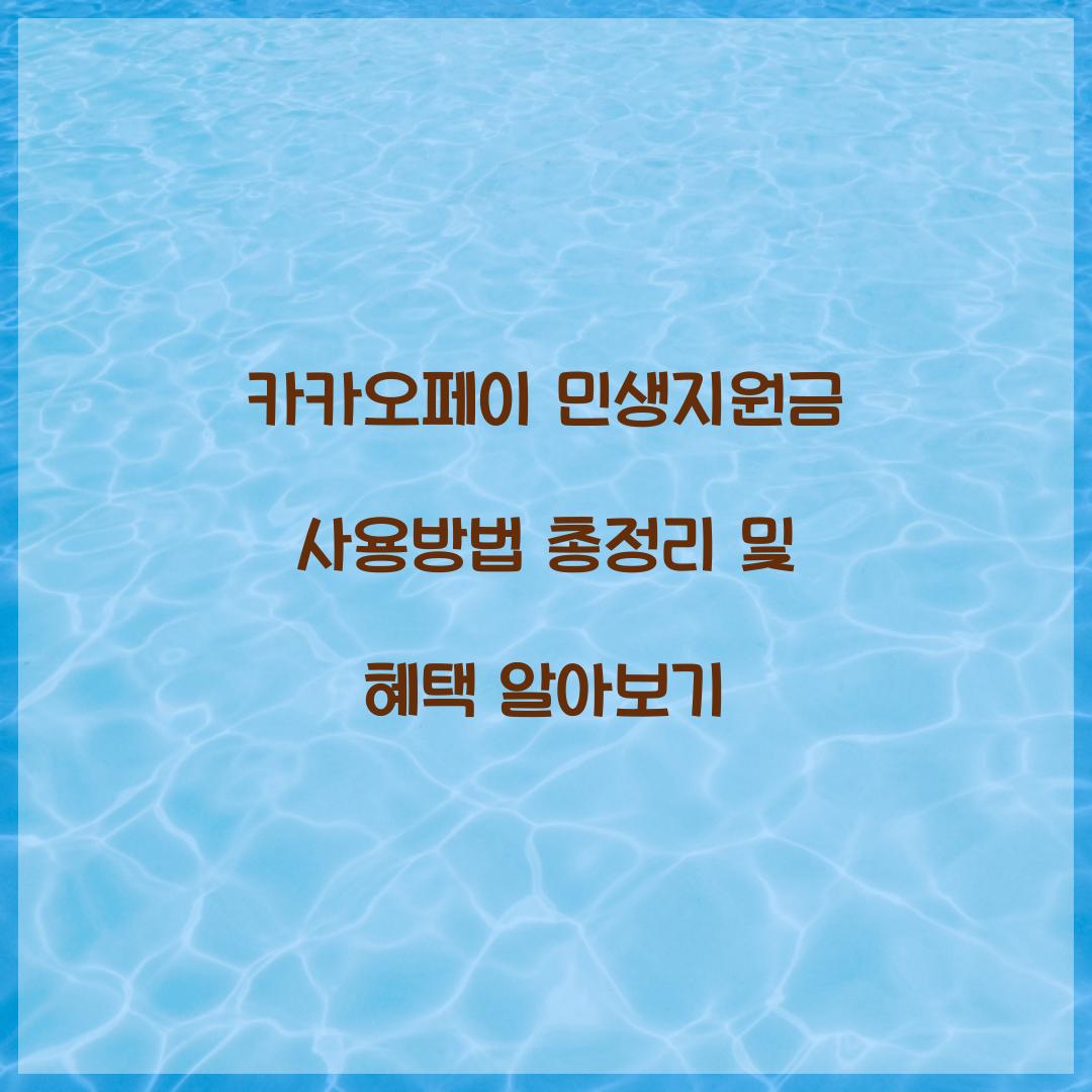 카카오페이 민생지원금 사용방법