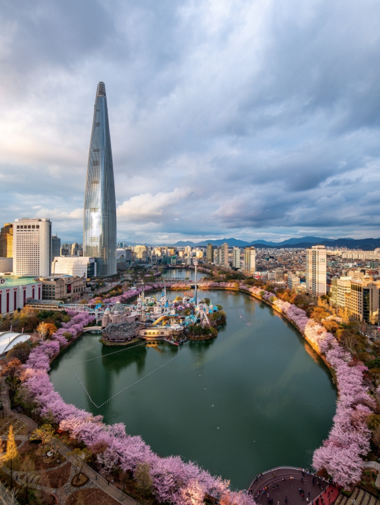 석촌호수 벚꽃과 롯데월드타워 봄 산책 명소