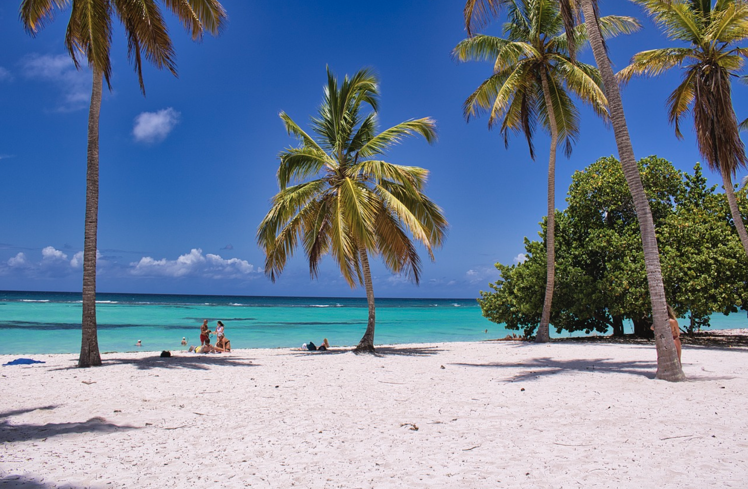 2023년 2월 kkday 할인코드 대만 일본 하와이 싱가포르 5~10% 할인쿠폰