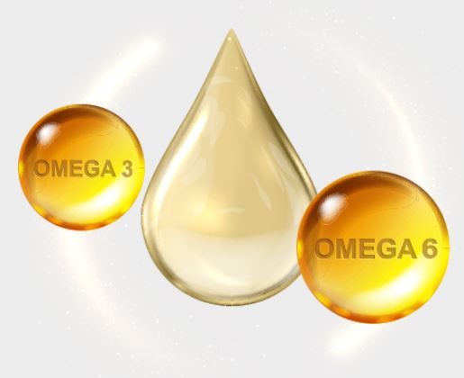 대마종자유-효능