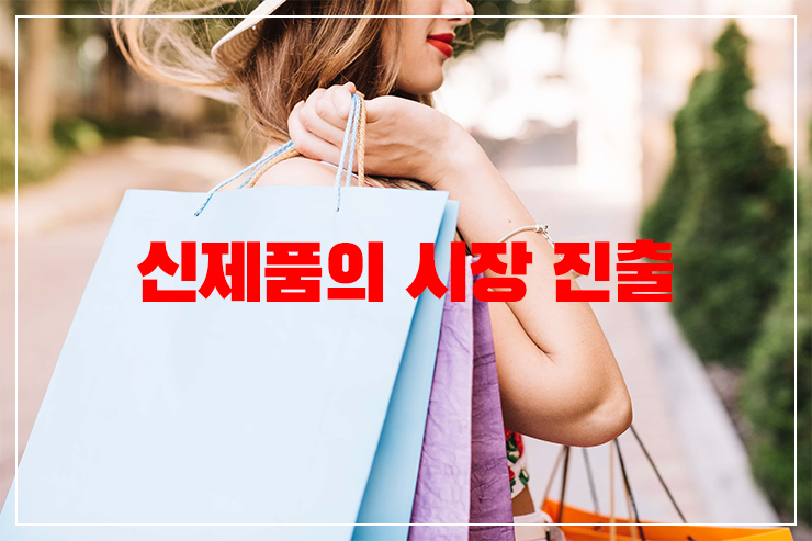 신제품의 시장 진입 실패 원인 분석