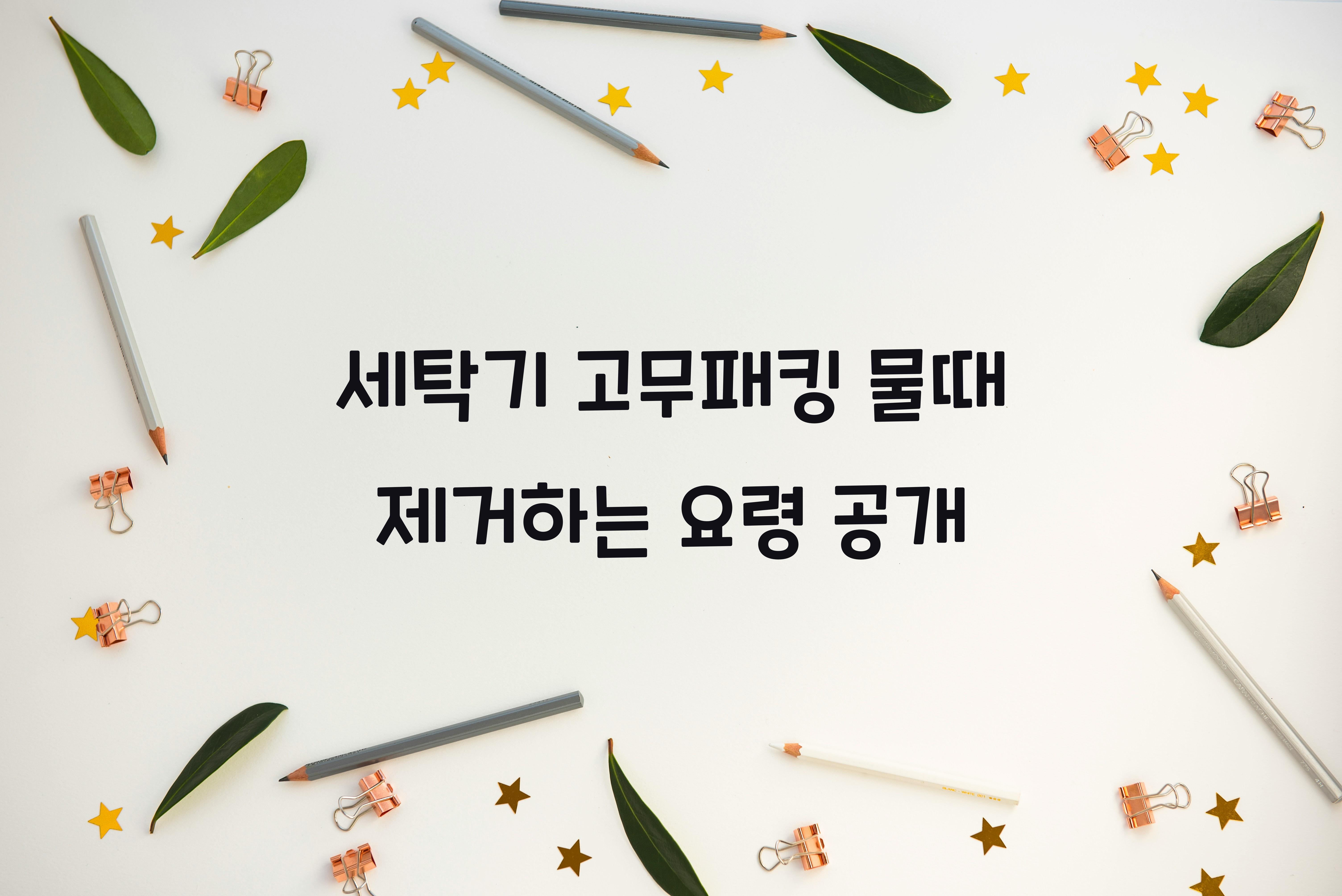 세탁기 고무패킹 물때 제거하는 요령