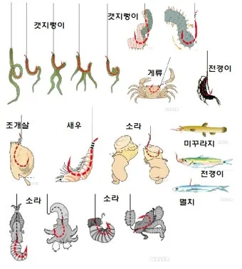 낚시 고수에게 배우는 떡붕어 대물낚시 미끼 채비 비결_32